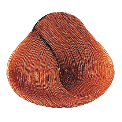Tinte Evolution Of The Color Alfaparf Milano