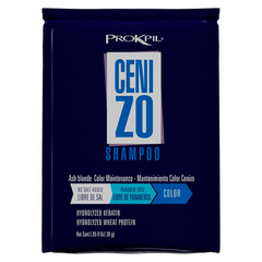Maintenance Shampoo Color Cenizo Especial Prokpil