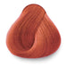 8.44 - Hazelnut Avellana
