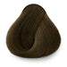 6.231 - Avellana Hazelnut